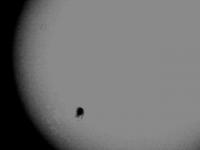 Sunspot # 923